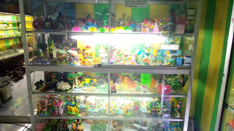 HOMMY PETSHOP & AQUARIUM BINANGUN: Teman Setia Peliharaan di Jantung Cilacap